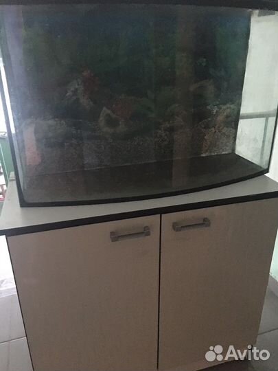 Аквариум 100 л с тумбочкой