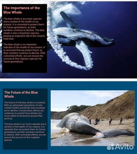 Репетитор по химии, биологии, математике