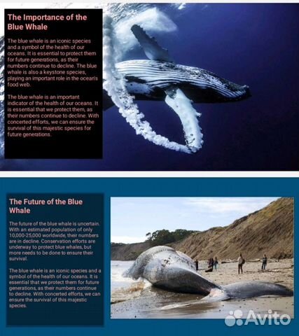 Репетитор по химии, биологии, математике