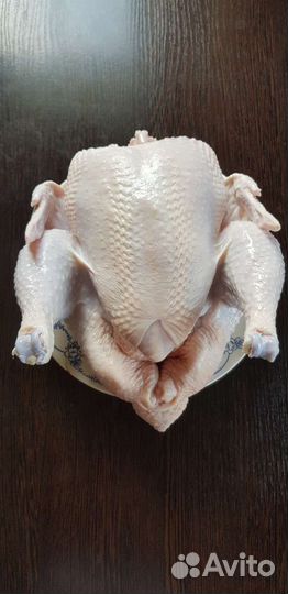 Мясо бройлера