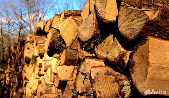 Дрова достойные