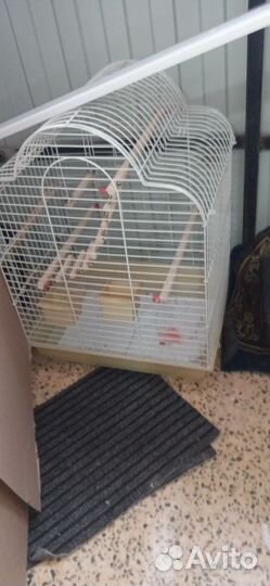 Клетка для крупного попугая