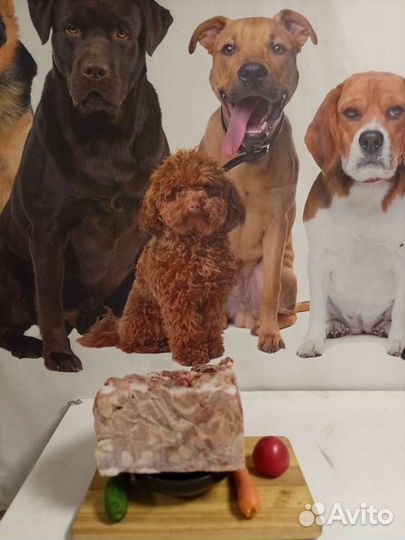 Мясо для собак (рубец,фарш,обрезь,корень,калтык