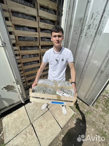 Клубничный бизнес