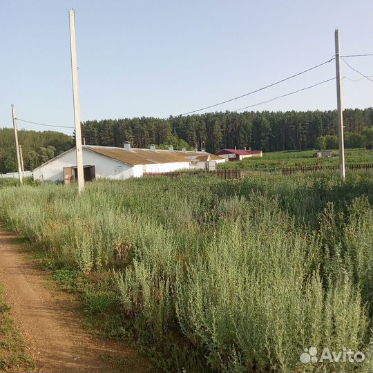 Ферма птичник