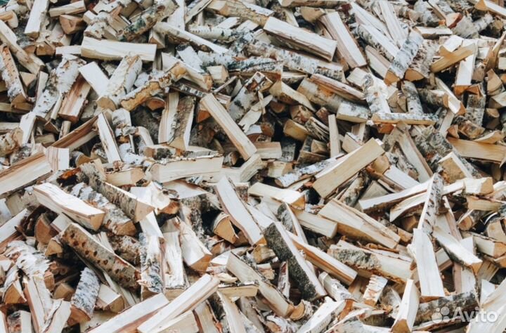 Дрова береза