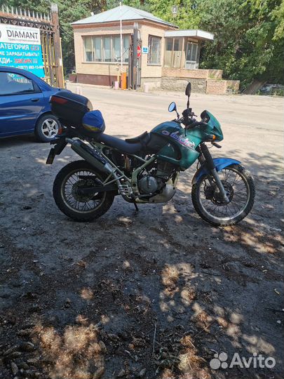 Kawasaki kle 250
