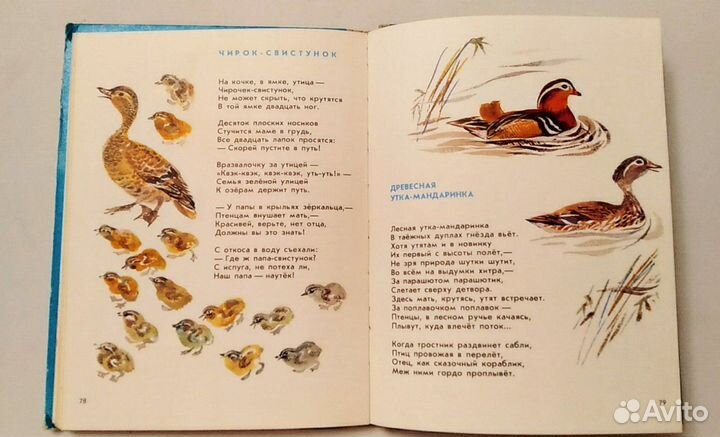 Книги для детей младшего школьного возраста