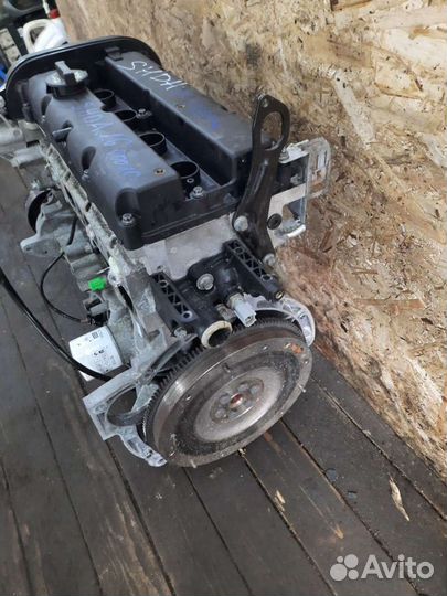 Двигатель Ford focus 2 1.6 100лс shda