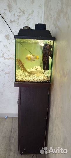 Аквариум с тумбой