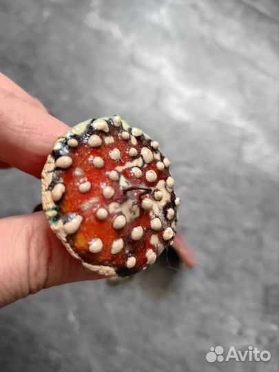 Грибы керамика