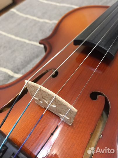 Скрипка 1/4