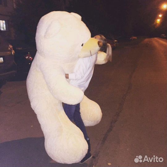 Ростовые медведи