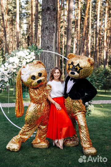 Ведущий и диджей