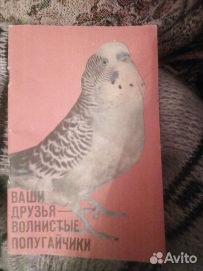 Волнистый попугайчики книга