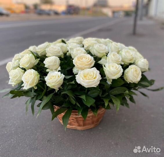 Розы Доставка цветов 35 51 101 роза Цветы