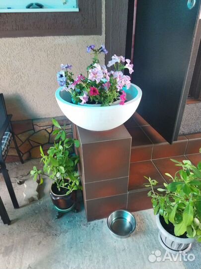 Вазоны для цветы уличное новый 