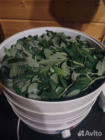 Мята сушеная