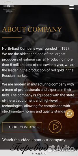 Перевод текстов, документов и резюме на английский