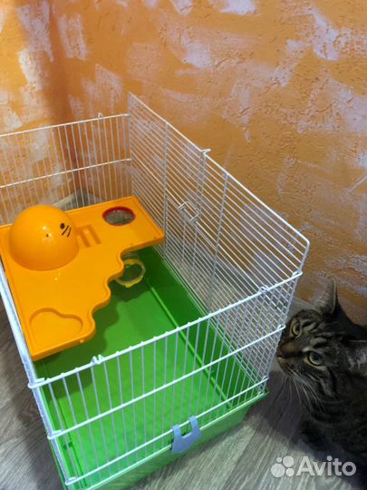 Просторная клетка для хомяка (не для кота)