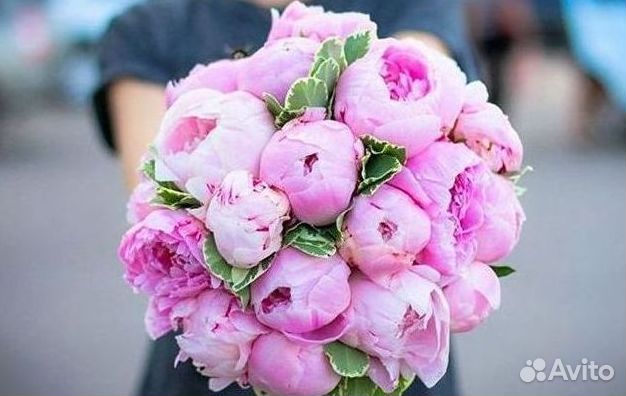 Пионы Розы Доставка