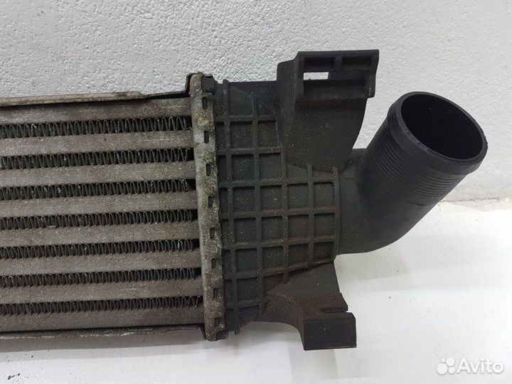 Радиатор интеркулера Ford Focus