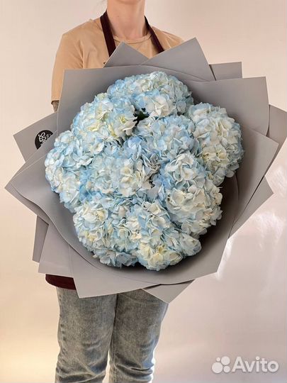 Букет цветы Гортензии
