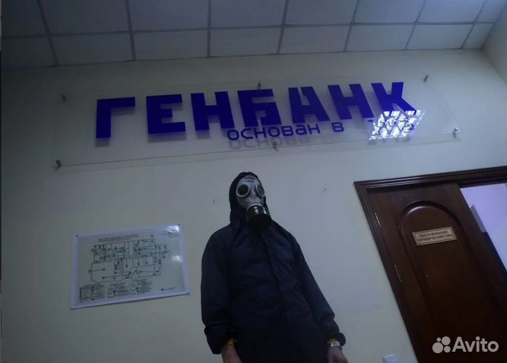 Уничтожение клопов тараканов блох грызунов плесени