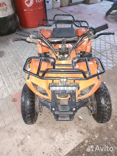 Мини-гризли