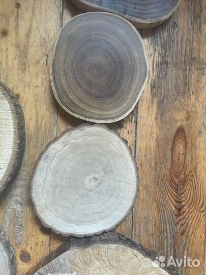 Спилы дерева разные