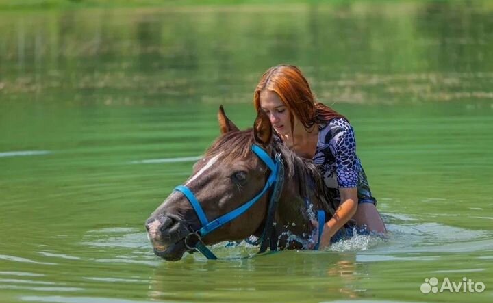 Конная прогулка по Заповеднику к Бирюзовому озеру