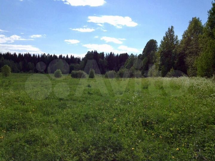 Участок 10 сот. (ИЖС)