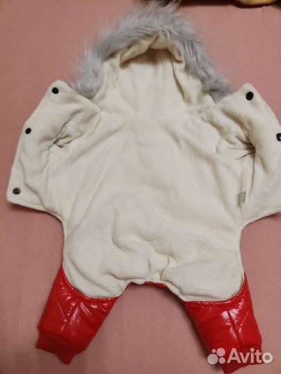 Зимний комбинезон на мелкую собаку