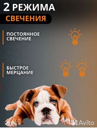 Ошейник светодиодный, новый