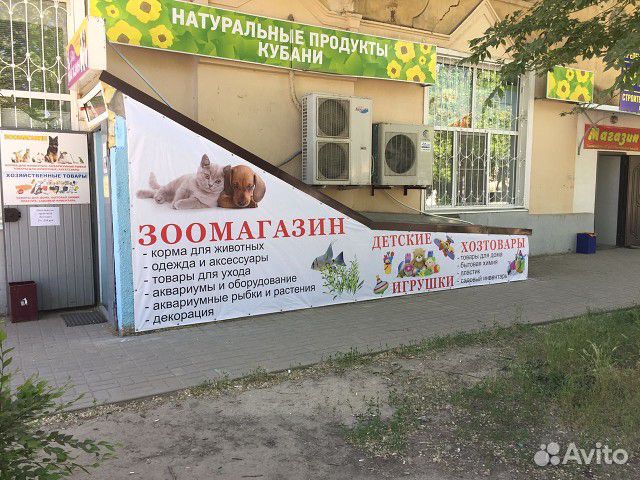 Одежда для собак