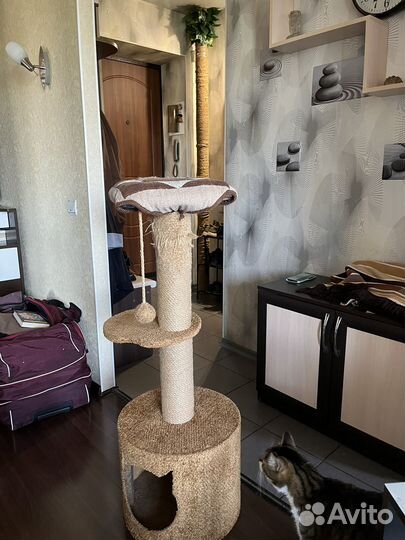 Когтеточка/дом для кошки