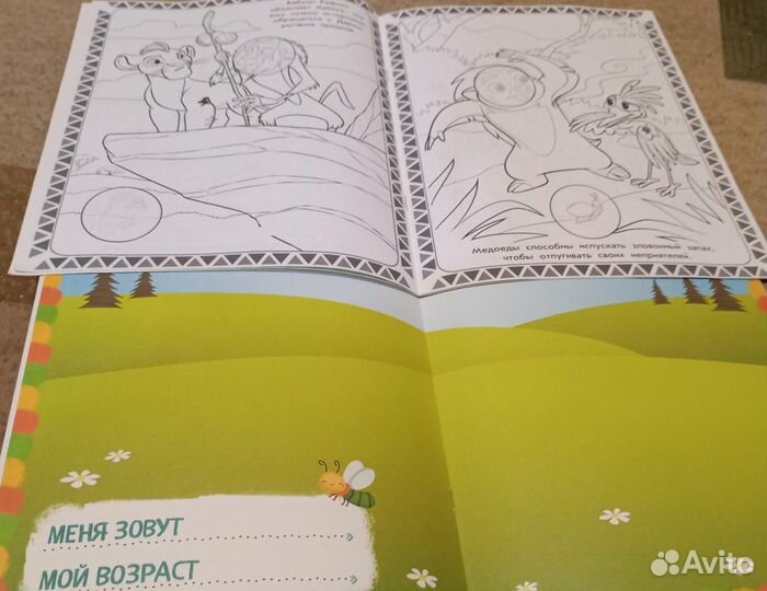 Раскраски, наклейки, поделки (развивающие)