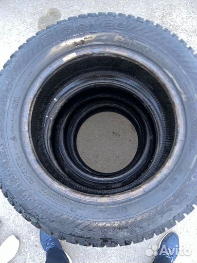 Gislaved Nord Frost 200 205/60 R16