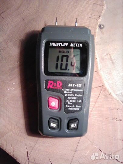 Корень дуба, спил