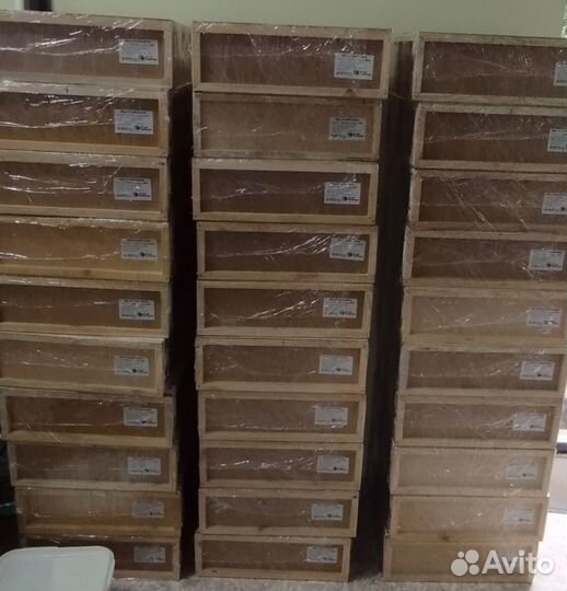 Алтайский мёд в сотах минирамки 2024 года (опт.)