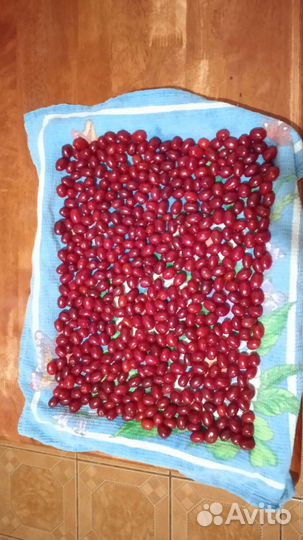 Ягоды кизила