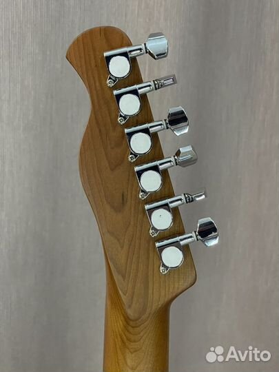 Bacchus BTE-3-RSM/BDD + чехол. Telecaster HH