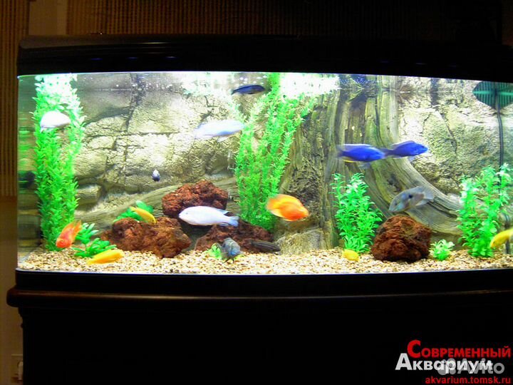 Обслуживание аквариумов