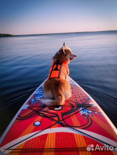 Sup (сап)доска, сапборд koi