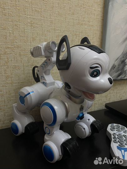 Робот собака 
