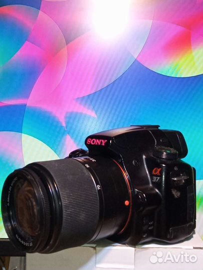 Sony a37