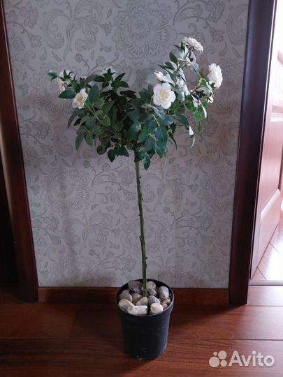 Искусственные цветы роза IKEA