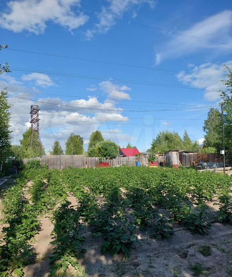 Участок 6,5 сот. (СНТ, ДНП)