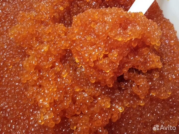 Красная икра