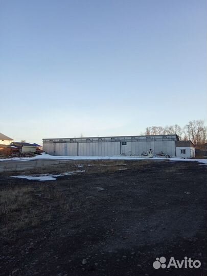 Сушка пиломатериала